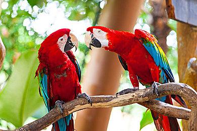 《铁血战士：狩猎场》将登陆PS5和Xbox Series X|S